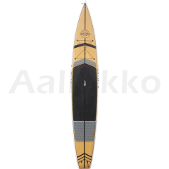 APS60012_1